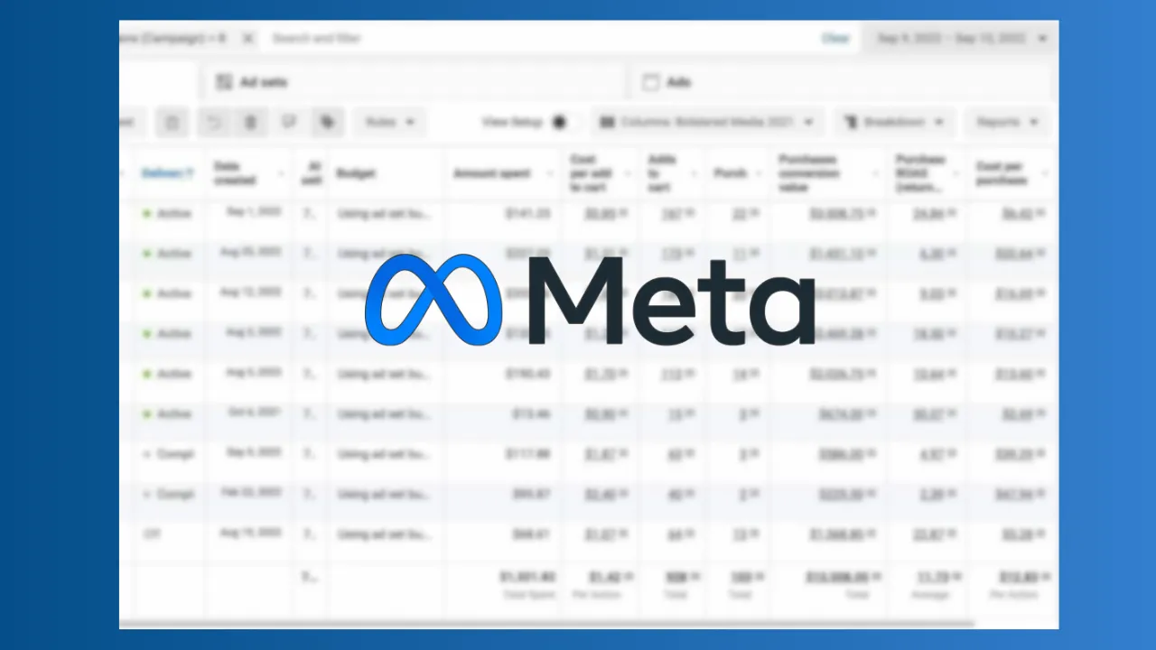 Meta Ads campaign performance results showing social media advertising growth achieved by MonkeyReach